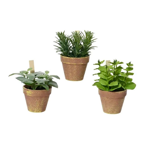 Vaso de tomilho, manjericão e hortelã, ø15 x 15 x 17 cm, modelos variados
