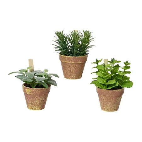 Vaso de tomilho, manjericão e hortelã, ø15 x 15 x 17 cm, modelos variados
