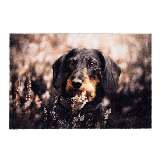Tapete de interior, deco print, 100% poliamida, desenho cão, 40 x 60 cm