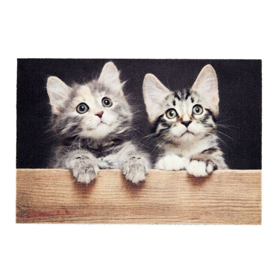 Tapete de interior, deco print, 100% poliamida, desenho gatos, 40 x 60 cm