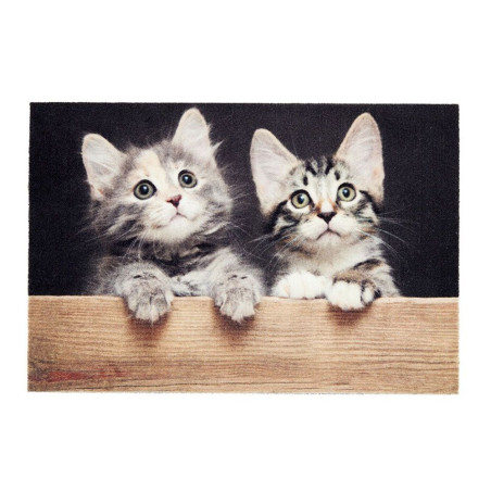 Tapete de interior, deco print, 100% poliamida, desenho gatos, 40 x 60 cm