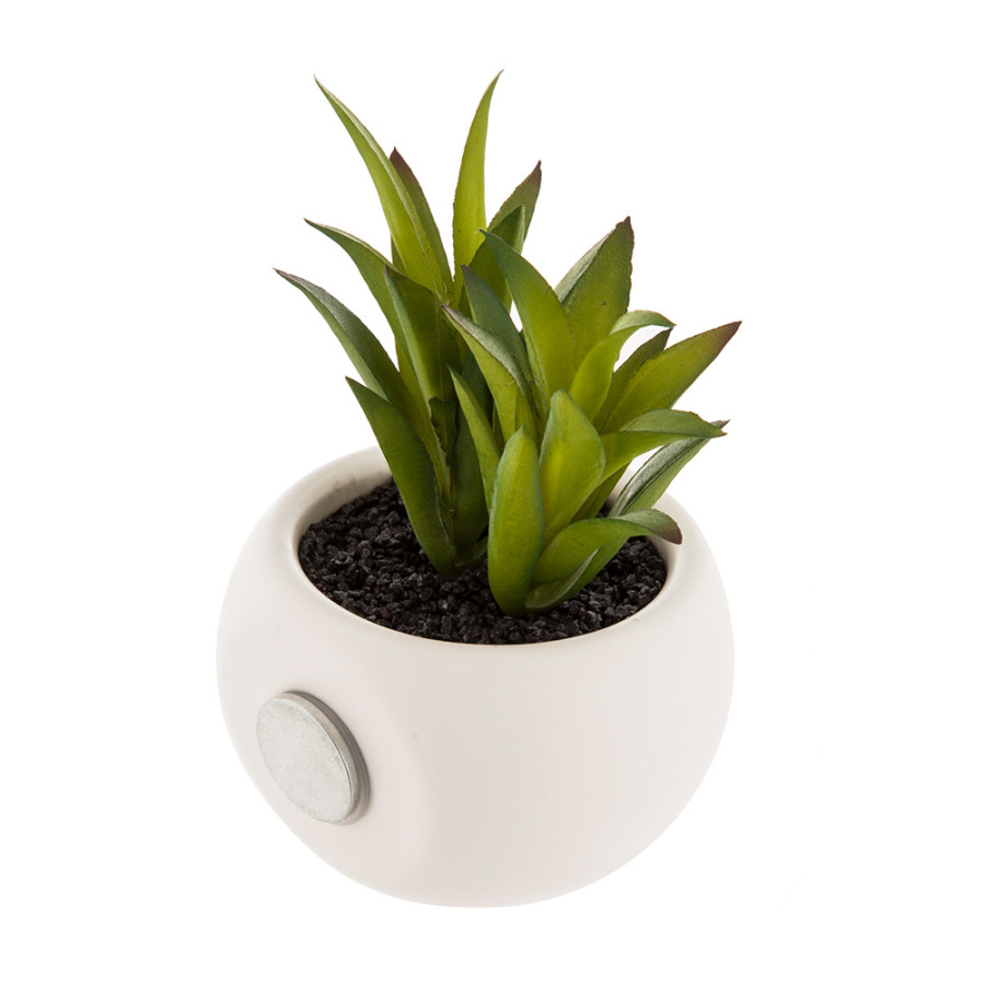 Mini plantas decorativas com íman vários modelos 6cm