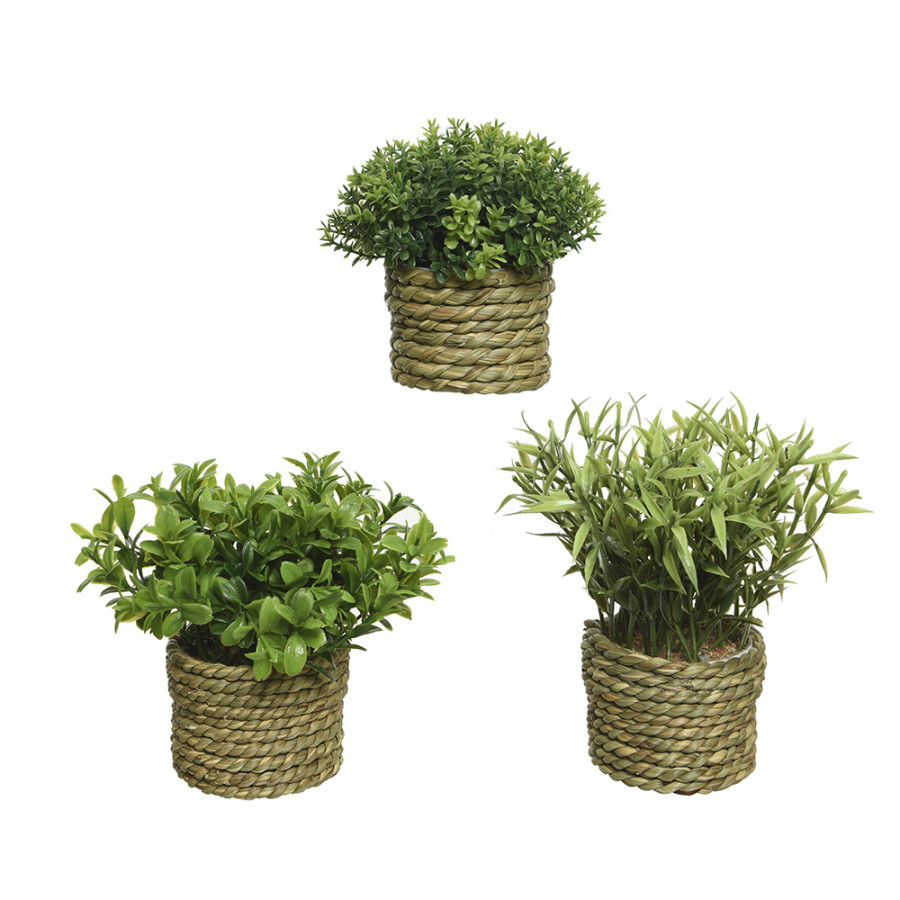 Planta articial de poliéster ø16x13cm cores / modelos diversos
