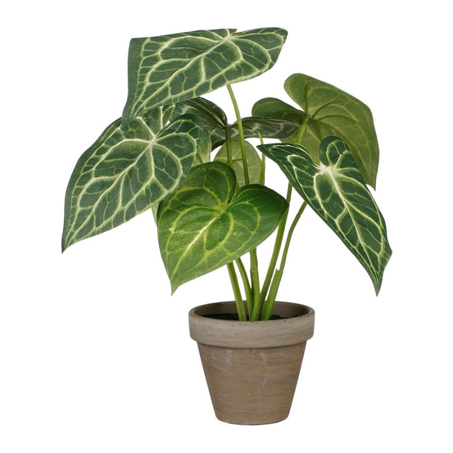 Planta artificial caladium "orelha de elefante" verde com vaso ø21x28cm