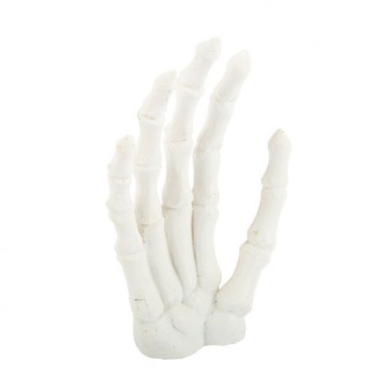 Mão de Esqueleto em Resina Branco 12x8cm